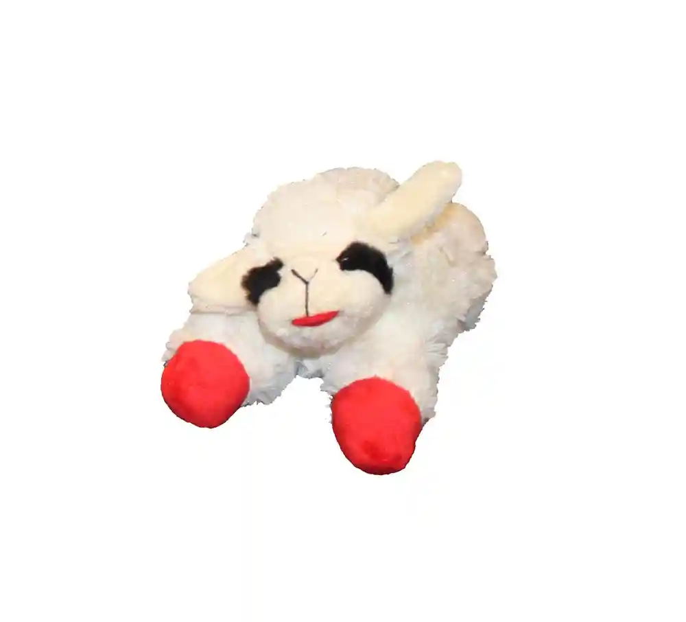 LAMBCHOP 6"
