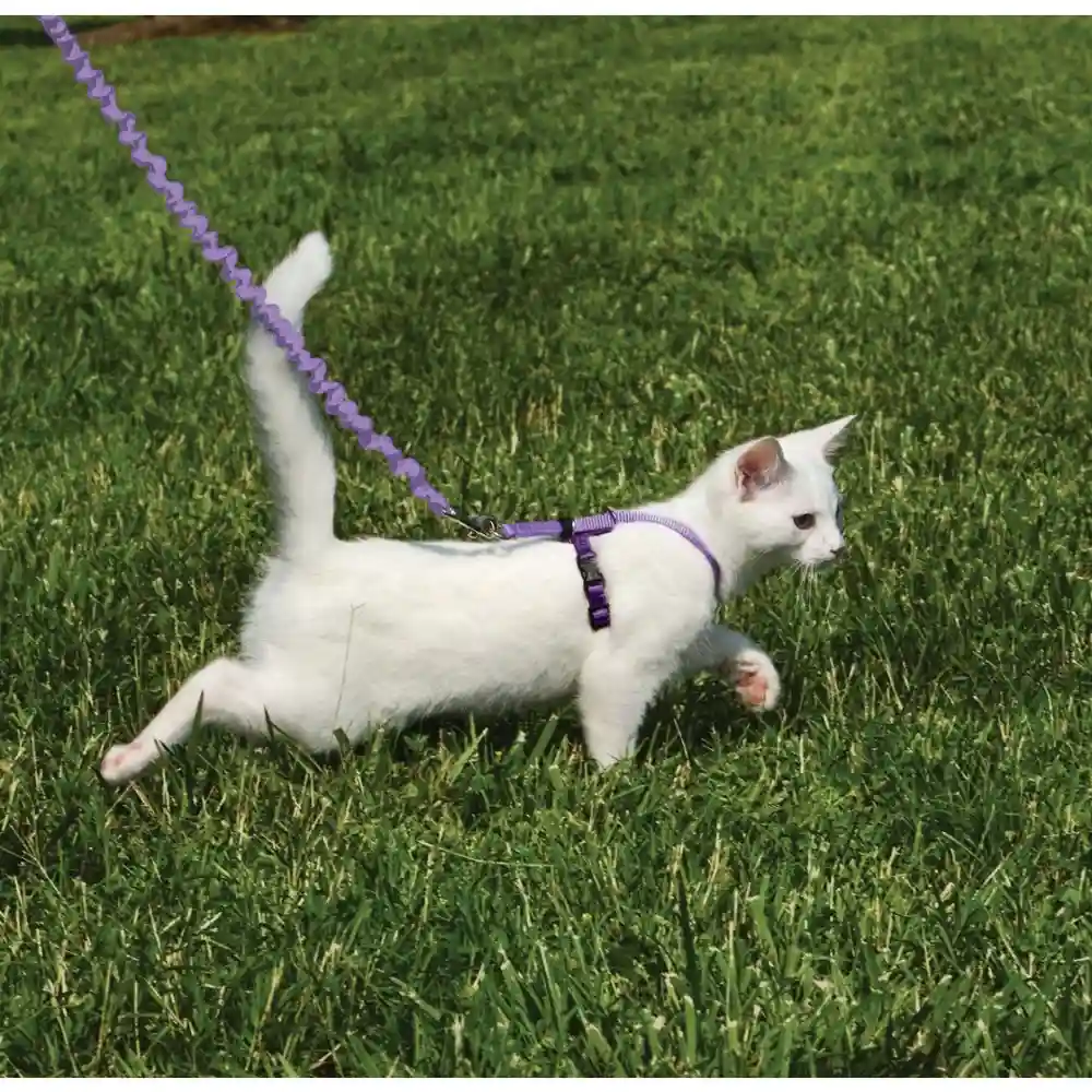 KITTY HARNESS AND LEASH SM LAVDR