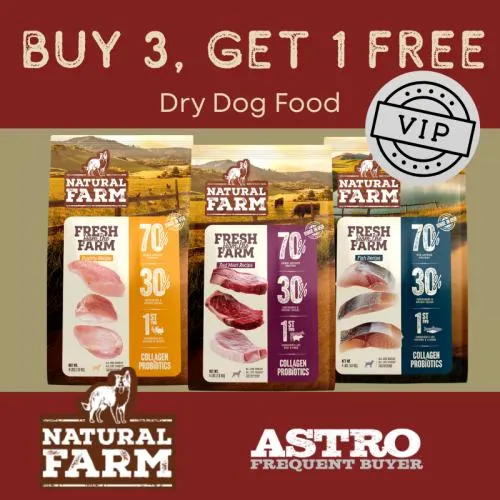 Promotion Image