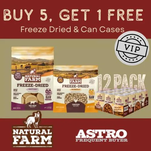 Promotion Image