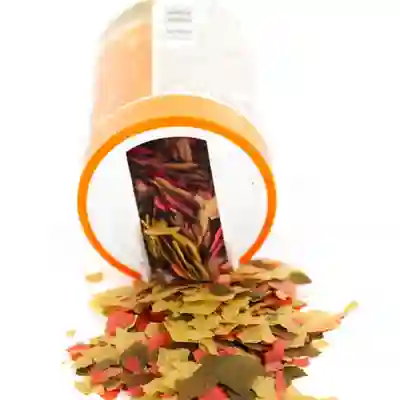 Image Alternative Text