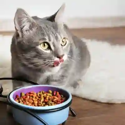 Image Alternative Text