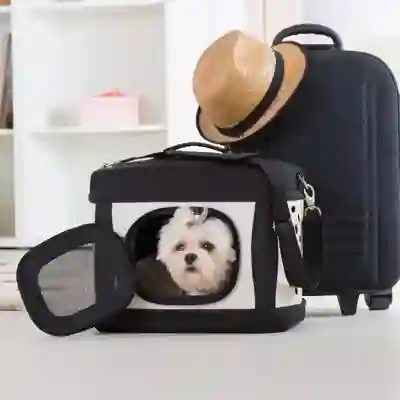 Image Alternative Text