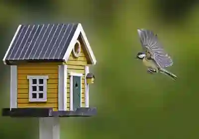 Image Alternative Text