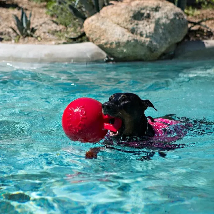 Tug N Toss Ball Red 8"