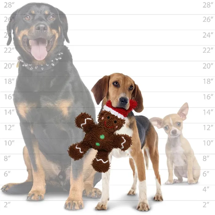 TUFFY'S GINGERBREAD MAN