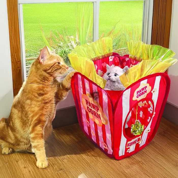 KONG PAWP CORN PLAYSPACE CAT