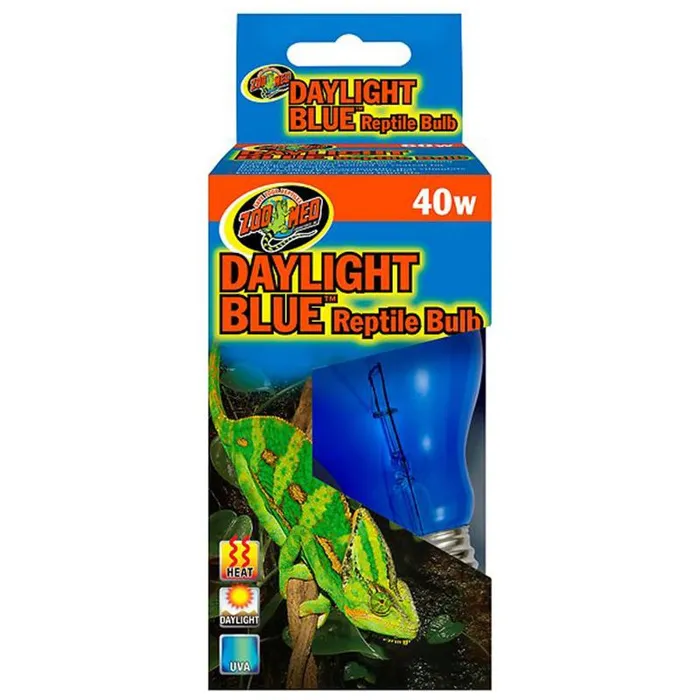 Daylight-blue 40 Watt Incandescent Bulb